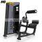 Box Gym Use Commercial Fitness Equipment / Back Extension Manufacturer