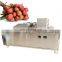 Lechee litchi jujube pitting machine date sorting date palm processing machine litchi grading machine