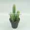 Artificial cactus bonsai in small size for indoor decoration
