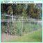Barbed wire top galvanised chain link fencing