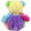 2016 NEW DESIN PLUSH RAINBOW TEDDY BEAR, RAINBOW COLOR PLUSH BEAR TOY FOR HOT SALE