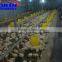 automatic poultry drinkers for chicken and duck