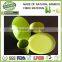 square safety natural bamboo fibre biodegradable tableware dishes plate bowl, dinner set