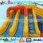 giant inflatable water slide for adults , large screamer water slide with pool for sale