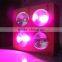 200-1200W led grow light full spectrum for plant, cob full spectrum led grow light indoor green house use