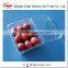 China Supplier Clamshell Blister Plastic packaging container for blueberry 500 gram