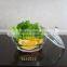 Heat resistant clear tempered glass salad bowl with lid
