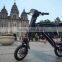 Good quality popular electric scooter with free bags