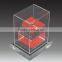 top grade acrylic figurine display case