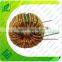 Smd Ferrite Core Power Inductor toroidal inductor