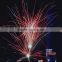 New style stylish fireworks shipping to gdansk