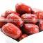 manufacture chinese dried red dates jujube