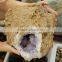 Natural Rough Amethyst Agate Geode