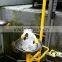 ANSI Z358.1 Certified Stainless Steel Emergency Shower & Eyewash