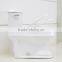 CUPC One Piece Toilet