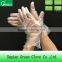 Disposable TPE food glove