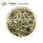 Organic Yin Zhen Silver Needle White Tea