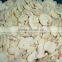 IQF champignon mushroom slice