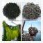 2016 harvest Good quality natural dried seaweed kelp