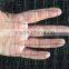 pp/hdpe anti bird net bug deer netting with UV resistant for garden