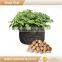 round plant grow bags potato planter 30 gallon grow bag 2017 innovative product