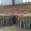 Grass broom with rattan handle