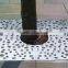 FO-9T14 Outdoor Stainless Steel Tree Tree Pool Cover For Wholesale