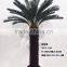 Artificial outdoor and indoor cycas for decoration