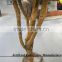 artificial grapefruit tree for landscaping indoor decoration,fruit tree with real touch fruit