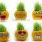 2017 new style Emoji grass doll