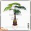 make cheap indoor and outdoor artificial bottle palm tree wholesale