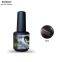 RONIKI 3D Cat Eye Gel Polish,Cat Eye Gel,Cat Eye Gel Polish,Cat Eye Gel Wholesaler