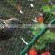 XINHAI  HDPE Knitted Net Anti-bird Net Multi-purpose Used In Agriculture