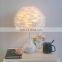 Nordic Feather Table Lamp Bedroom Bedside Lamp Simple LED Desk Lights With Remote Control For Living Room