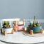 Factory Price Planter Pots Plants Ceramic Supplies Plant Home Garden Flower Pot With Wooden Rack