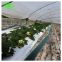 Best Sale UV Protection Greenhouse Black/White Plastic Mulch Film