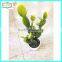 35cm new design hot sale fake cactus