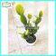 34cm new design hot sale decorating with fake cactus