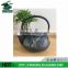 Chinese traditonal enamel cast iron teapot with infuser