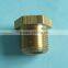 High Precision Brass Pipe Plug
