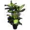 China Manufacture Fresh Design Artificial Tree for Wholesale
