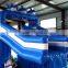 China Cute dolphine waterslide inflatable for pool