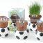 Garden Decoration Indoor Plant Pots Mini Planters Buy Flower Online