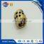 Oilless Thrust Bearing