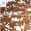 Best Quality New Crop Dried Star Aniseeds
