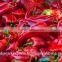Capsicum Oleoresin 3.3 %, 6.6%, 10%, 30%, 40%, 60% - 80%