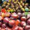 New Crop Fresh Chestnut, Bulk Hebei Chestnuts for sale