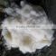 New Type Scoured Sheep Wool For Carpet 26-28mic(Fine wool)
