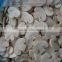 2015 new corp High Quality Frozen champignon mushroom Grade A BRC Haccp ISO