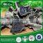 best price black fungus frozen black fungus